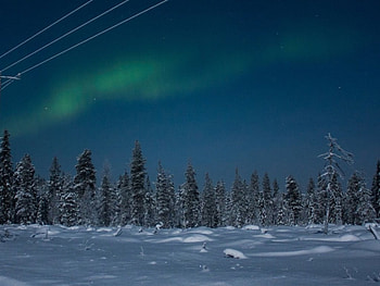 Winter Night, frost, road, stars, snow HD wallpaper