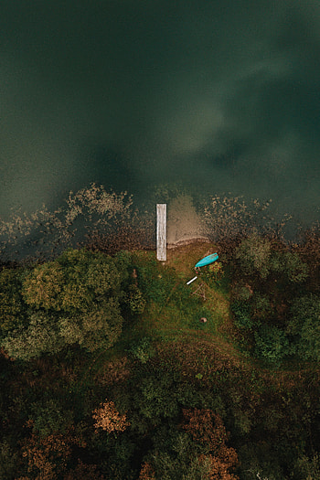Nature, Trees, View From Above, Coast, Pier HD phone wallpaper