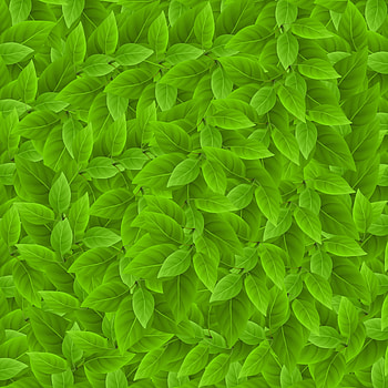 Leaf, abstract, digital art HD phone wallpaper