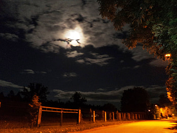 night fantasy, nature, abstract, moon, fantasy HD wallpaper