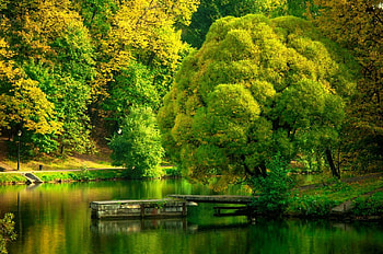 Early autumn, fall, beautiful, tranquil, lake, park, early, reflection, trees, autumn, nature, lovely, forest, pond HD wallpaper