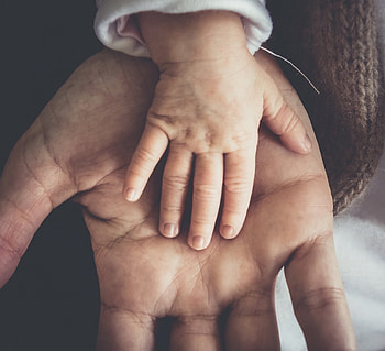 Hand, Miscellanea, Miscellaneous, Palm, Care, Child HD wallpaper