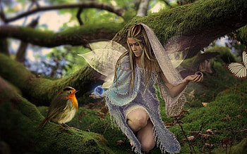 forest fairy, fairy, bird, grass, forest, tree HD wallpaper
