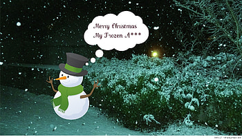 Funny Merry Christmas HD wallpaper