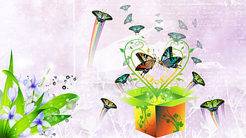 Summer Surprises, butterflies, summer, colorful, pink, box, firefox persona, flowers HD wallpaper