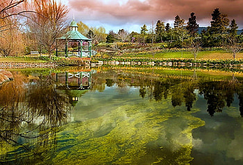 The pagoda, river, summer, reflection, plants, trees, pagoda HD wallpaper