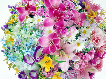 To all my friends on here., colorful, flowers, lovely, friends HD wallpaper