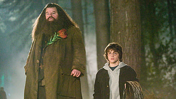 Hagrid's 6 best quotes, Wise words, Heartfelt advice, Valuable life lessons HD wallpaper