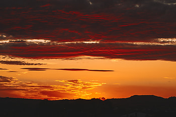Nature, Trees, Sunset, Sky, Silhouette HD wallpaper