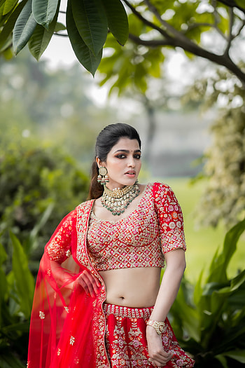 Dhansika, sari, flash graphy, TAMIL actress HD phone wallpaper