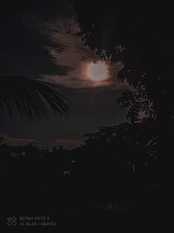 Night Moon HD phone wallpaper