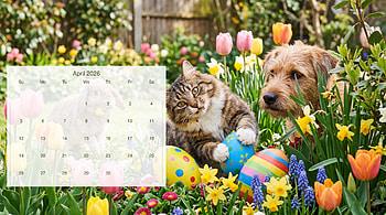 April 2026 : Springtime Pets & Easter Calendar, April 2026 Calendar HD wallpaper
