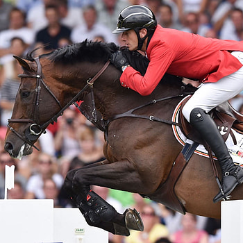 Eventing, Equitation HD phone wallpaper