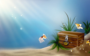 Wall , fish, gold, water, 3d HD wallpaper