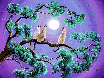 Triple Cat in Moonlight, cats, colors, paintings, kittens, love four seasons, fantasy, animals, trees, draw and paint, nature, moons HD wallpaper