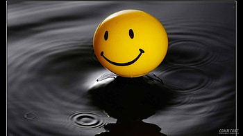 Funny, Water, Background HD wallpaper