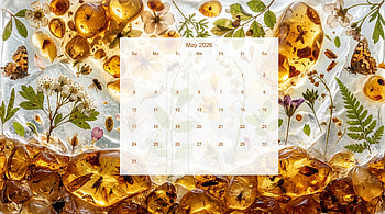 May 2026 Calendar — Amber Flora, May 2026 Calendar HD wallpaper