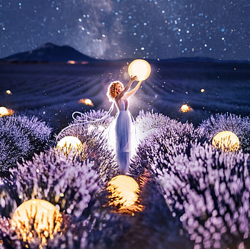 Lights, woman in lavender farm, night, nature HD wallpaper