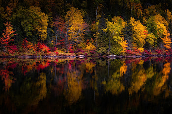 ❤️, Lake, Mirror, Forest, Autumn HD wallpaper