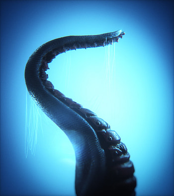 3D, Being, Creature, Tentacles HD phone wallpaper