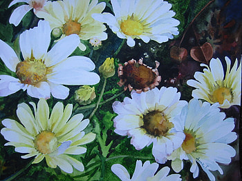 Daisy Patch, pretty, daisy, bright, garden, faces, happy, spring, cheery HD wallpaper