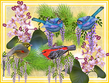 BIRDS COLLAGE, ART, COLLAGE, ABSTRACT, BIRD HD wallpaper