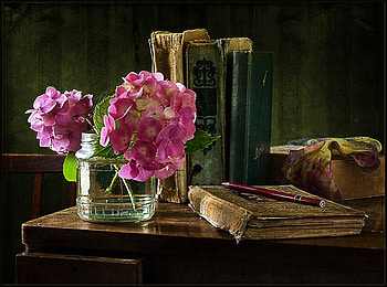 Old books, books, pink, tattered, hydrangea, vase, desk HD wallpaper