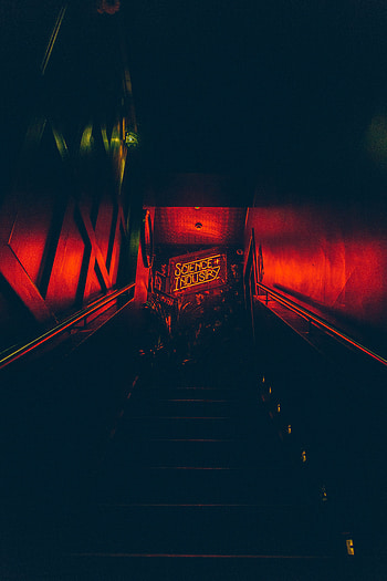 Words, Dark, Stairs, Ladder, Inscription, Sign, Signboard HD phone wallpaper