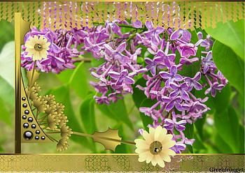 LILACS, PRETTY, LILACS, FRAMED HD wallpaper