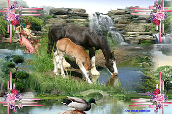 Horses for my dear friend Coco ( coco007 ), horses, animals, nature, friend, gift HD wallpaper