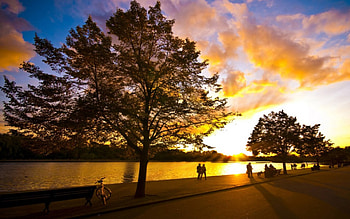 A beautiful sunset at the river, river, bicycle, clouds, trees, benches, people HD wallpaper