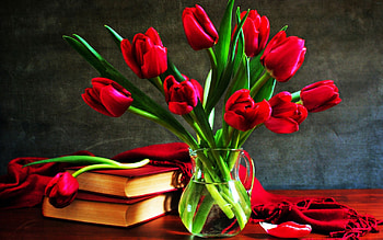 Still Life, books, blossoms, vase, flowers, tulips HD wallpaper