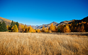 South Island, New Zealand, Skippers Canyon HD wallpaper