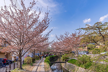 man made, Japan HD wallpaper