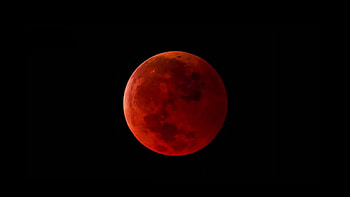 Captivating blood moon, Celestial wonder, Mysterious allure, Astronomical spectacle HD wallpaper