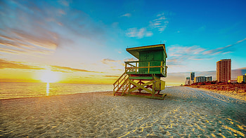 Miami travels, Beach , Palm trees, Tropical getaway HD wallpaper
