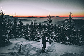 Winter, Trees, Snow, Dark, Skier HD wallpaper