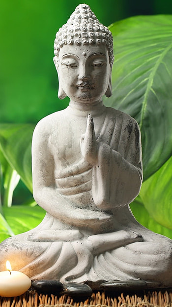 Bhagwan Buddha, Buddha, Nature Background, lotus HD phone wallpaper