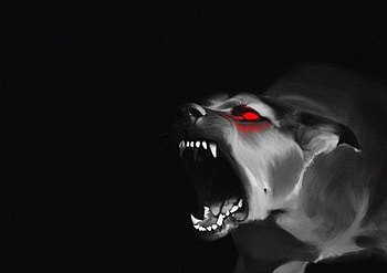Art, Grin, Dog, Fangs HD wallpaper