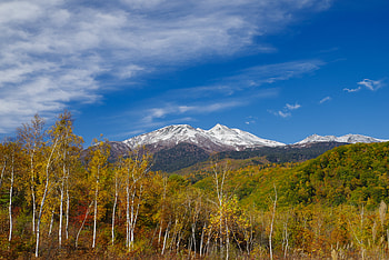Landscape, Nature, Mountain, Vertex, Top, Forest HD wallpaper