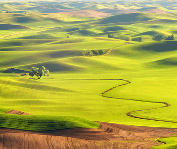 Nature, Grass, Field, Hills HD wallpaper