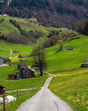 Switzerland, mountain, green HD phone wallpaper