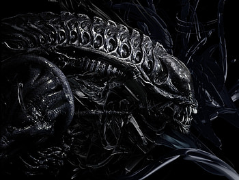 H.R. Giger, Giger-inspired , Twisted and macabre, Surreal ambiance HD wallpaper