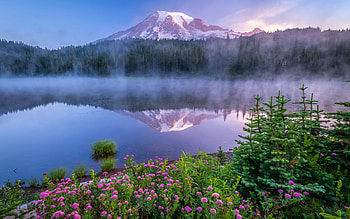 Mount Rainier, Wild flowers, USA, Parks, Lake, Reflection HD wallpaper