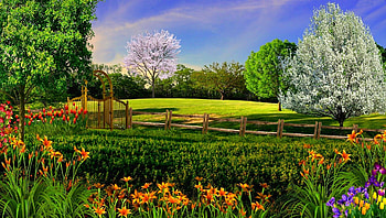 Colorful park, colorful, white, landscape, colors, beautiful, park, trees, view, nature, flowers HD wallpaper