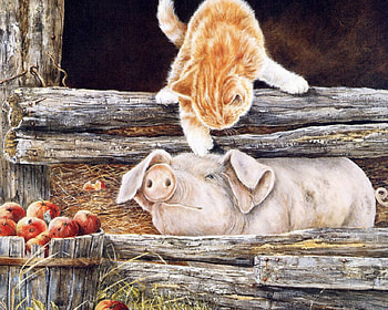 hey you....., farm, cats, pigs, animals HD wallpaper