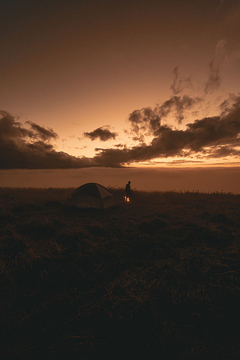 Bonfire, Twilight, Dark, Silhouette, Dusk, Tent HD phone wallpaper