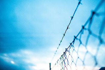 Macro, Grid, Fence, Barbed, Spiny, Fencing, Enclosure, Barbed Wire HD wallpaper