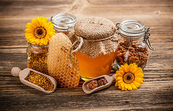 Honey and Flowers, petals, nature, flowers, yellow flowers, honey HD wallpaper