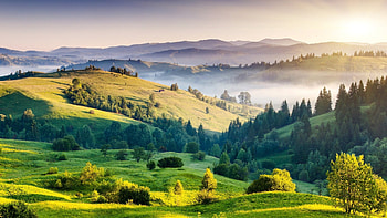 mountains, grass, trees, day, summer HD wallpaper